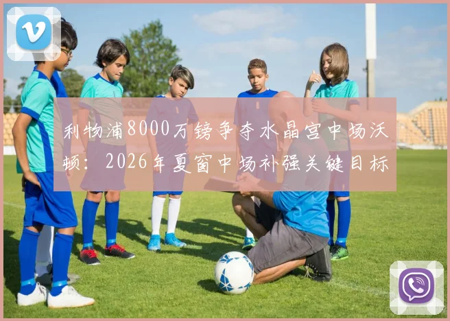 利物浦8000万镑争夺水晶宫中场沃顿：2026年夏窗中场补强关键目标解析与转会前景